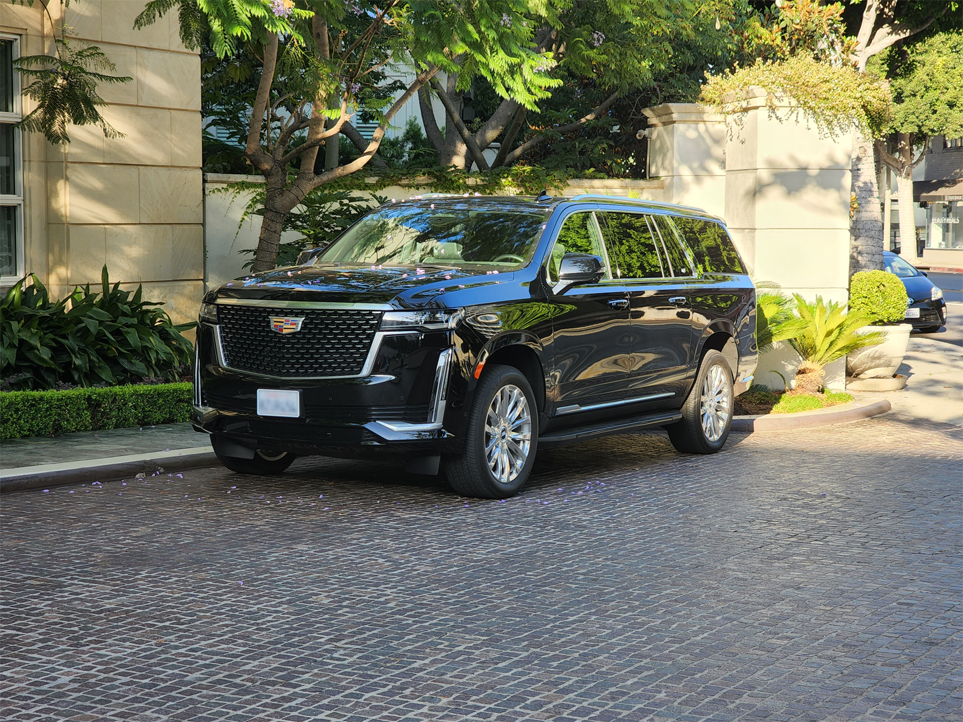 Black Cadillac SUV parked on a tree-lined street, showcasing luxurious design amidst greenery and cobblestone. Ideal for upscale travel context.