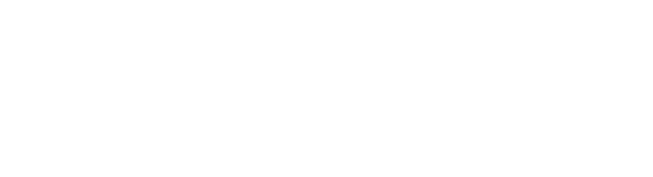 Rifecar - premier chauffeured service